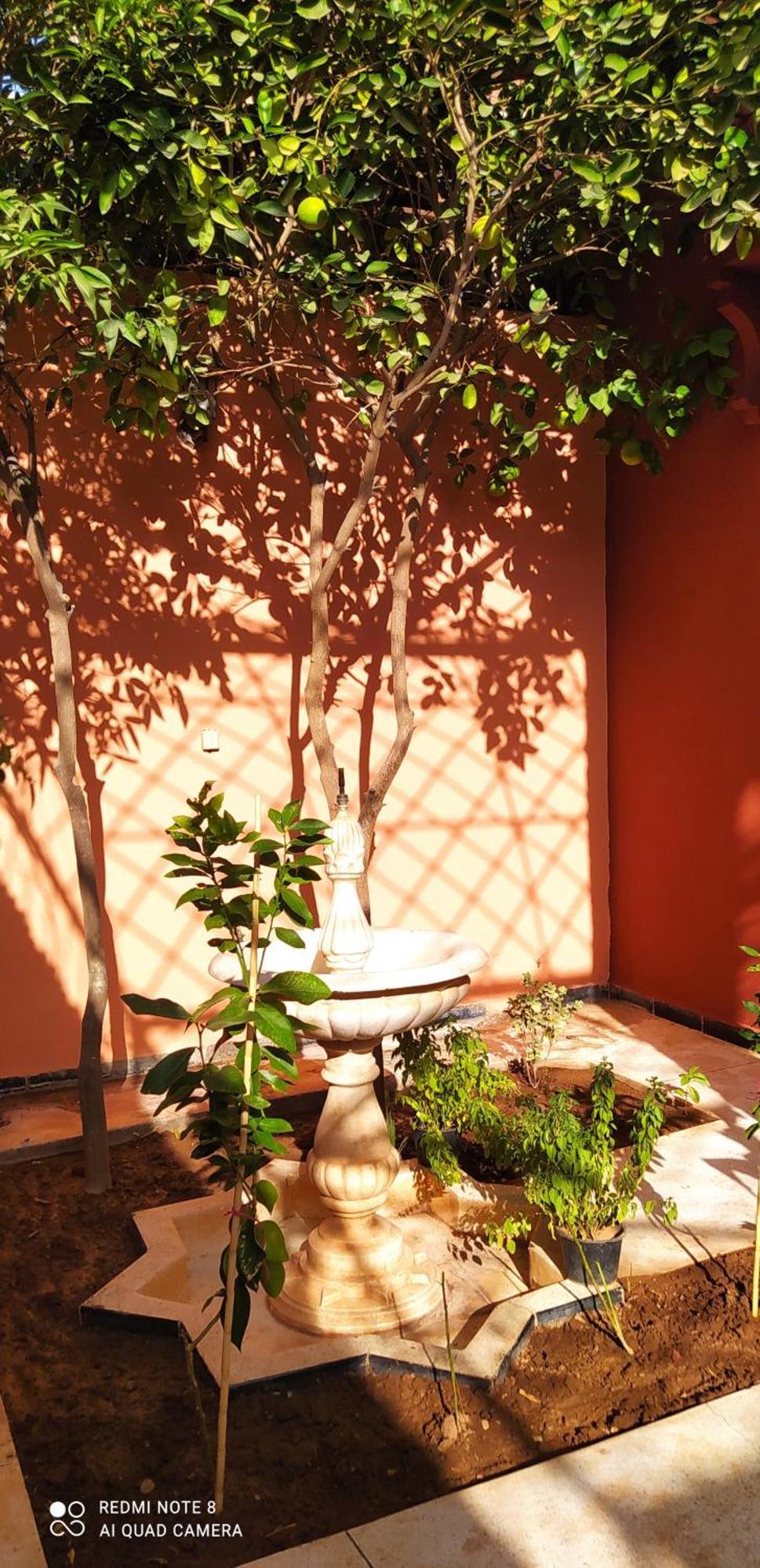 Maison D'Hotes Le Petit Jardin Marrakech Marrakesh Buitenkant foto